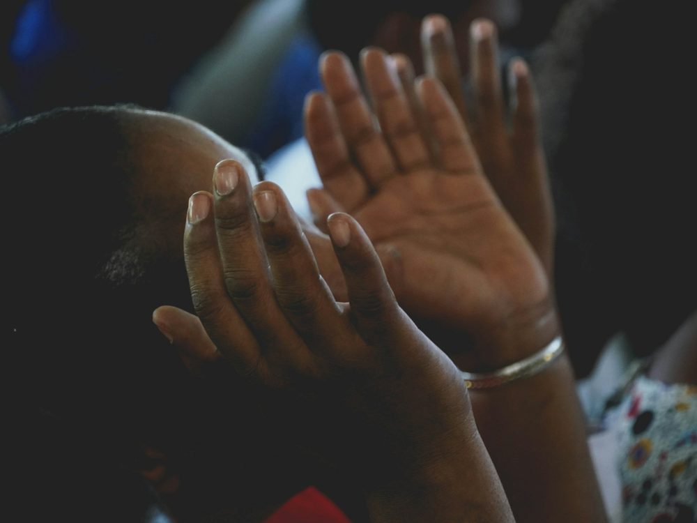 abel-marquez-0chVl3b15MQ-unsplash (1)